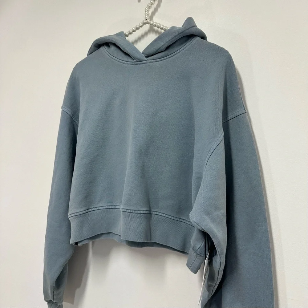 Agolde Mari Cropped Hoodie in Mineral Blue